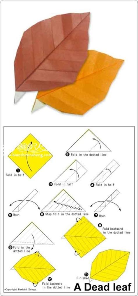 折纸手工——秋天的树叶_stem