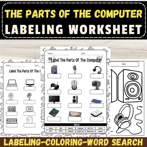 Computer Set Worksheet 的图像结果