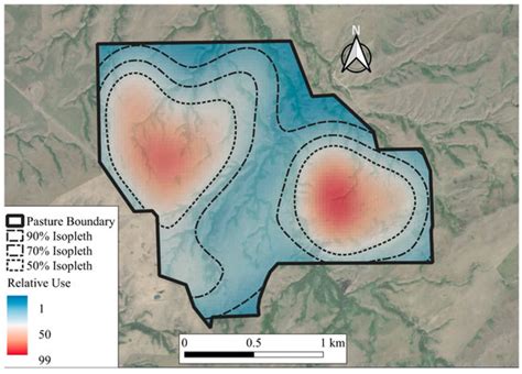 The Influence of Residual Feed Intake and Cow Age on Beef Cattle ...