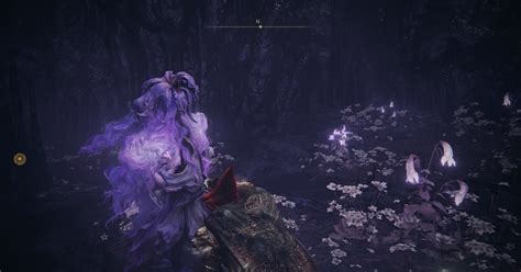 Should you imbibe nectar in Shadow of the Erdtree? | VG247