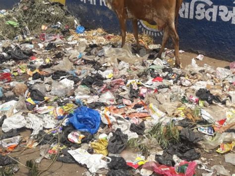 Garbage piles in ponds, plastic pollution problem is hazardous to health