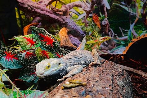 Body Language Cues 的图像结果