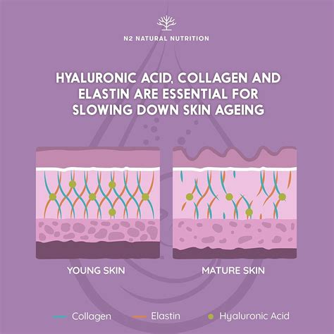 N2 Natural Nutrition Hyaluronic Acid & Collagen Power Sachets - High Dosage for Women with ...