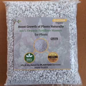 Plantsab Organic Perlite 500gm for Hydroponics & Horticulture Indoor ...