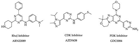Synthesis of Novel (S)-3-(1-Aminoethyl)-8-pyrimidinyl-2 ...