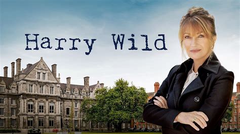 Harry Wild Season 3