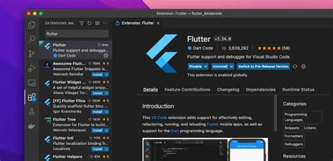 vs Code Simulator 的图像结果