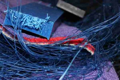 Environment 的图像结果