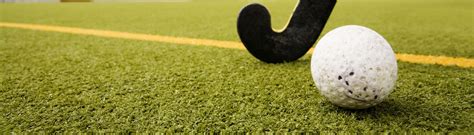 Hockey Grass 的图像结果