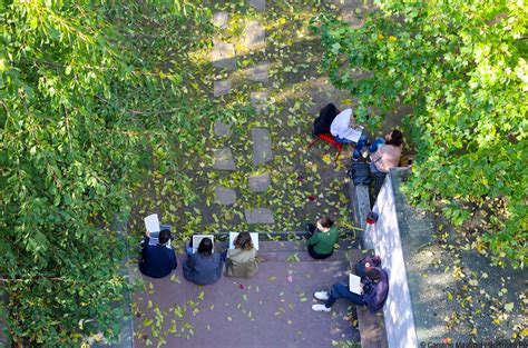 Science PO Course 的图像结果