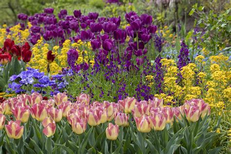 Image result for Spring Flower Garden