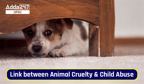 Link between Animal Cruelty and Child Abuse