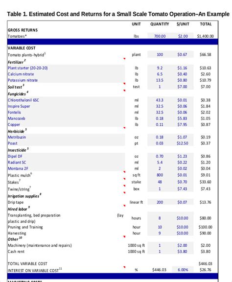 Image result for Production Budget Example