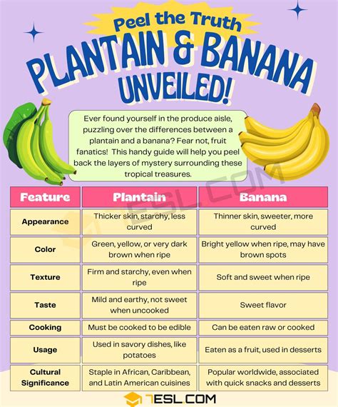 Plantain vs. Banana: Understanding the Differences • 7ESL