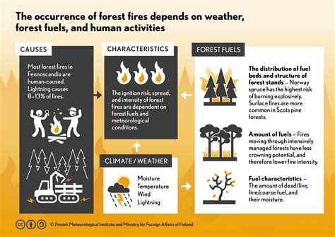 Causes Of Forest Fire