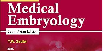 Langman’s Medical Embryology, South Asian ed : Sabita Mishra: Amazon.in ...