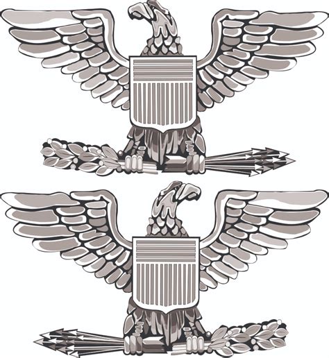 Full Bird Colonel Insignia Lieutenant Colonel (United States)