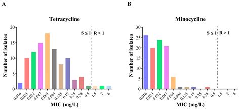 Minocycline/Amoxicillin-Based Bismuth Quadruple Therapy for ...