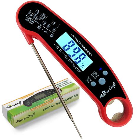 How Do You Use An Expert Grill Thermometer at Tracy Mullane blog