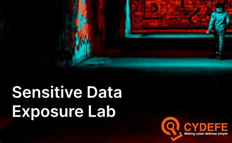 Image result for Sensitive Data Exposure Tutorial