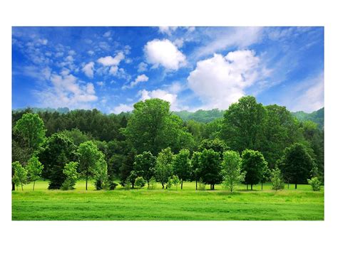 Nature Scenery Poster for Wall in self Adhesive Vinyl Sticker A4 Size ...