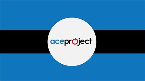 AceProject Tutorial 的图像结果