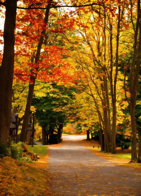 Lexica - Fall in massachusetts