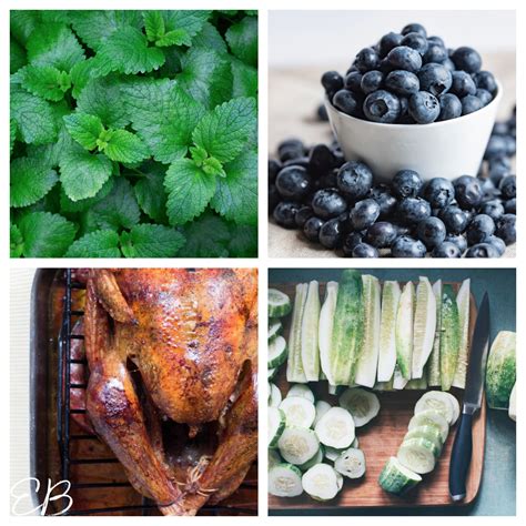 Low Histamine AND Low Oxalate FOOD LIST with Printable - Eat Beautiful