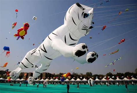 International Kite Festival 2023 date in Gujarat: Festive spirit runs ...
