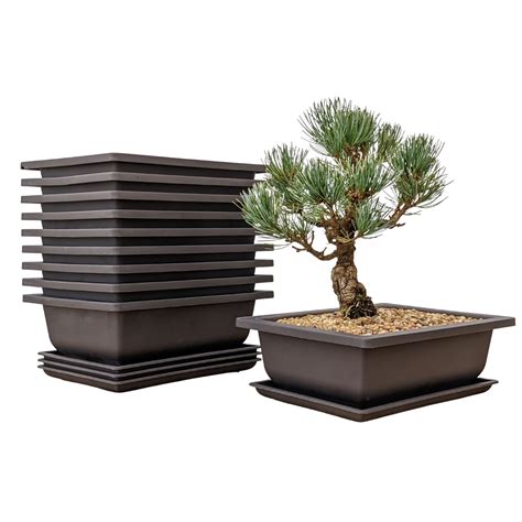 Bonsai Training Pots Humidity Trays Built In Mesh 8 Inch | Desertcart INDIA