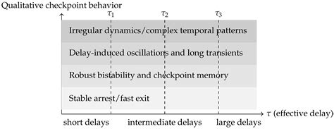 Delayed Signaling in Mitotic Checkpoints: Biological Mechanisms and ...
