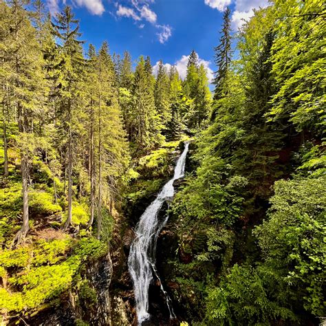 Download wallpaper 2780x2780 waterfall, trees, forest ipad air, ipad ...