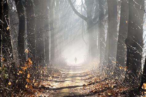 Vote 图片 的图像结果