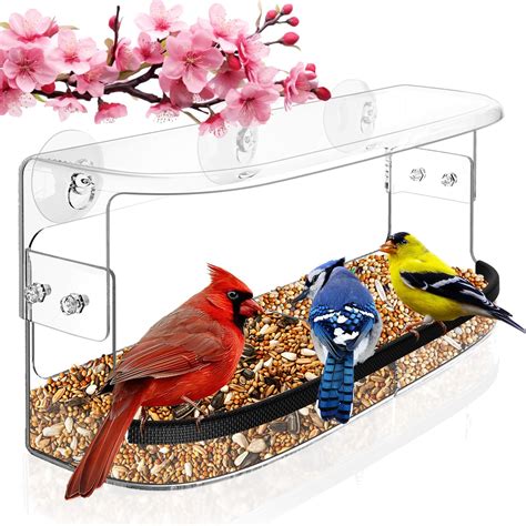 Amazon.com : Window Bird Feeder Easy to Use to Attract Birds, Cool and ...