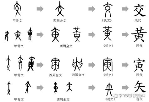 中国文字 | 从汉字演变看中国书法艺术