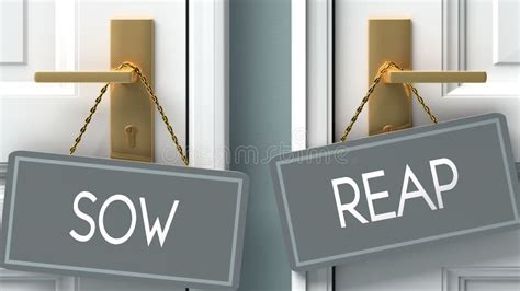 Sow and Reap As a Choice - Pictured As Words Sow, Reap on Doors To Show ...