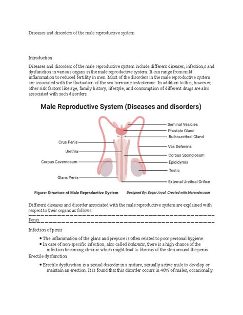 Diseases and disorders of the male reproductive system - Diseases and disorders of the male ...