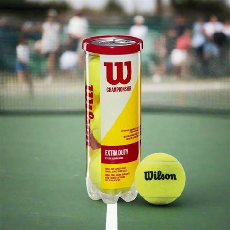 Buy now Wilson Championship Tennis Balls - 3 Pack – InstaSport