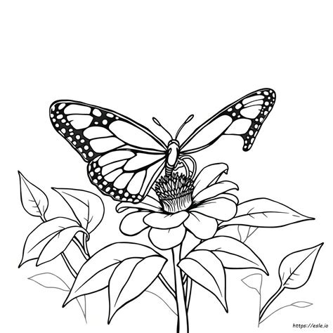 Coloring Pages Monarch Butterfly