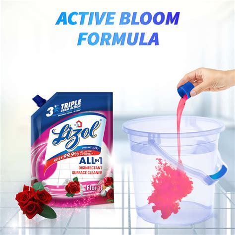 Buy LIZOL DISINFECTANT SURFACE & FLOOR CLEANER LIQUID REFILL PACK ...