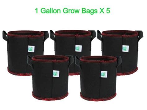 Buy Grow Bags 1 Gallon with Handles 5-pk Fabric Pots Premium Heavy Duty ...