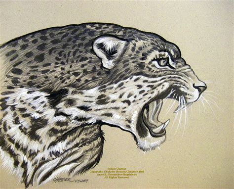 Jaguar Animal - Drawing Skill