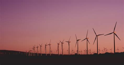 The Sustainable Development Goals | Economic and Political Weekly