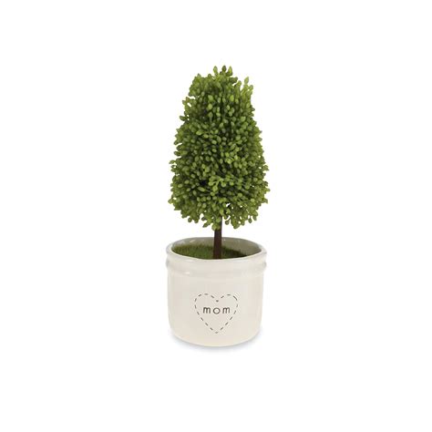 Mud Pie Faux Boxwood Topiary in Mini Pot, 6x2.5 Inch, with MOM : Amazon ...