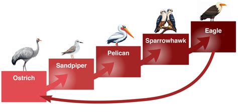 Image result for Ai Integration Tutorial