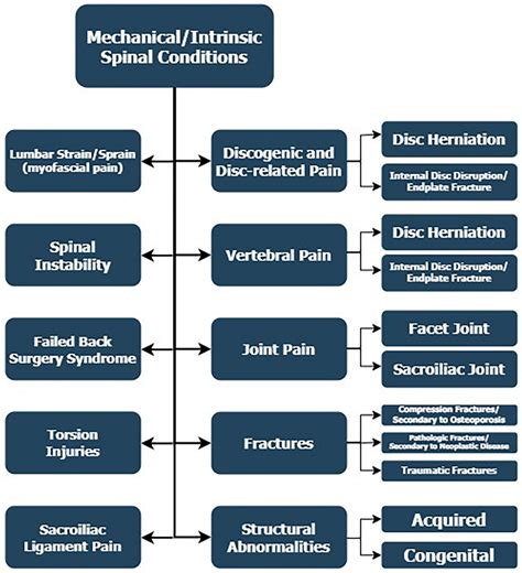 Low Back Pain
