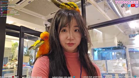 LIVESTREAMFAILS - Watch your favorite Streamers fail!