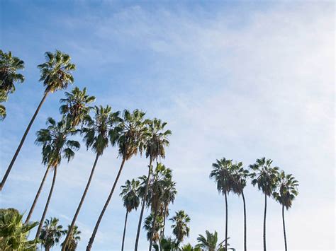 Alondra Golf Course | Discover Los Angeles