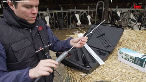 Image result for IMV Alpha Vision Tutorial