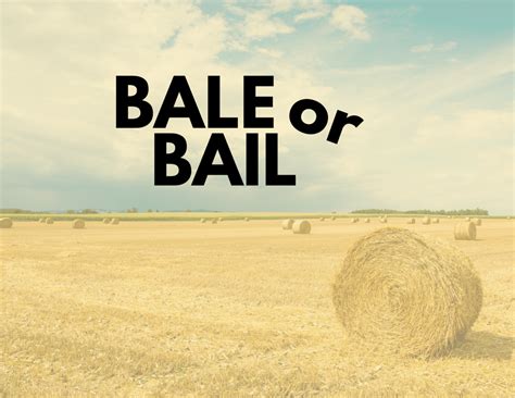 Bail vs. Bale: Confusing Homophones - BusinessWritingBlog